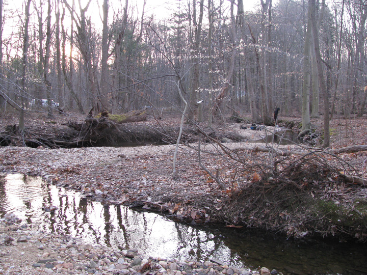 Field photo showing stream conditions at site FURN-101-S-2009-1