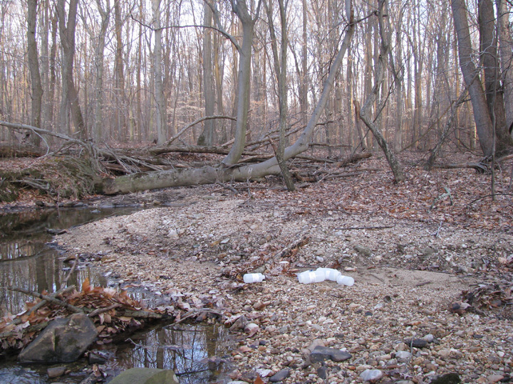 Field photo showing stream conditions at site FURN-101-S-2009-2