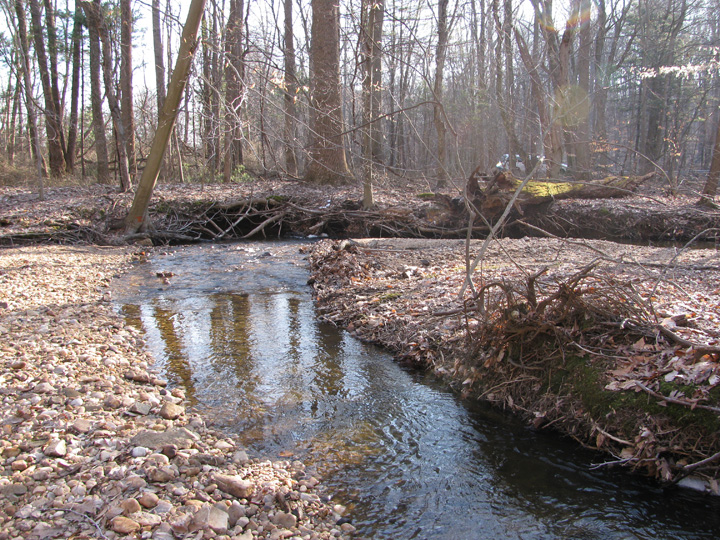 Field photo showing stream conditions at site FURN-101-S-2010-1