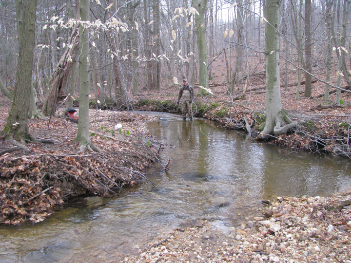 Field photo showing stream conditions at site FURN-101-S-2011-1