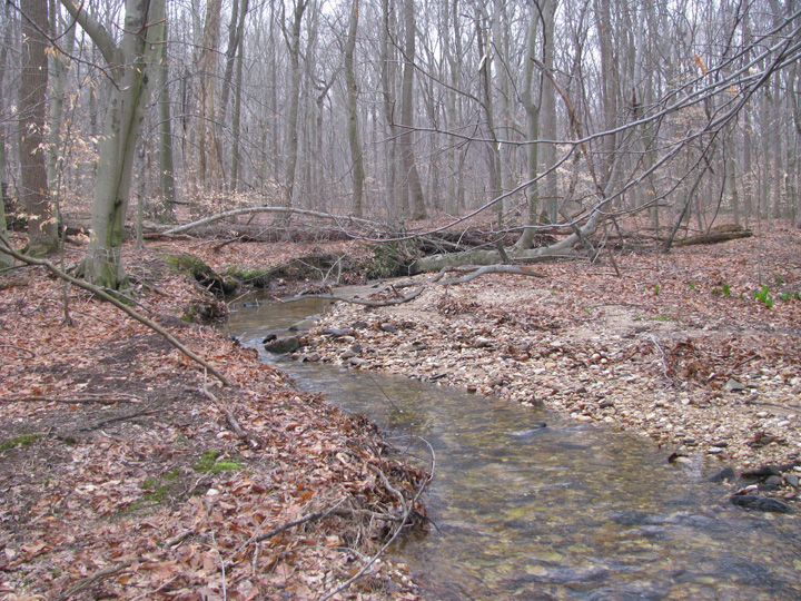 Field photo showing stream conditions at site FURN-101-S-2011-2