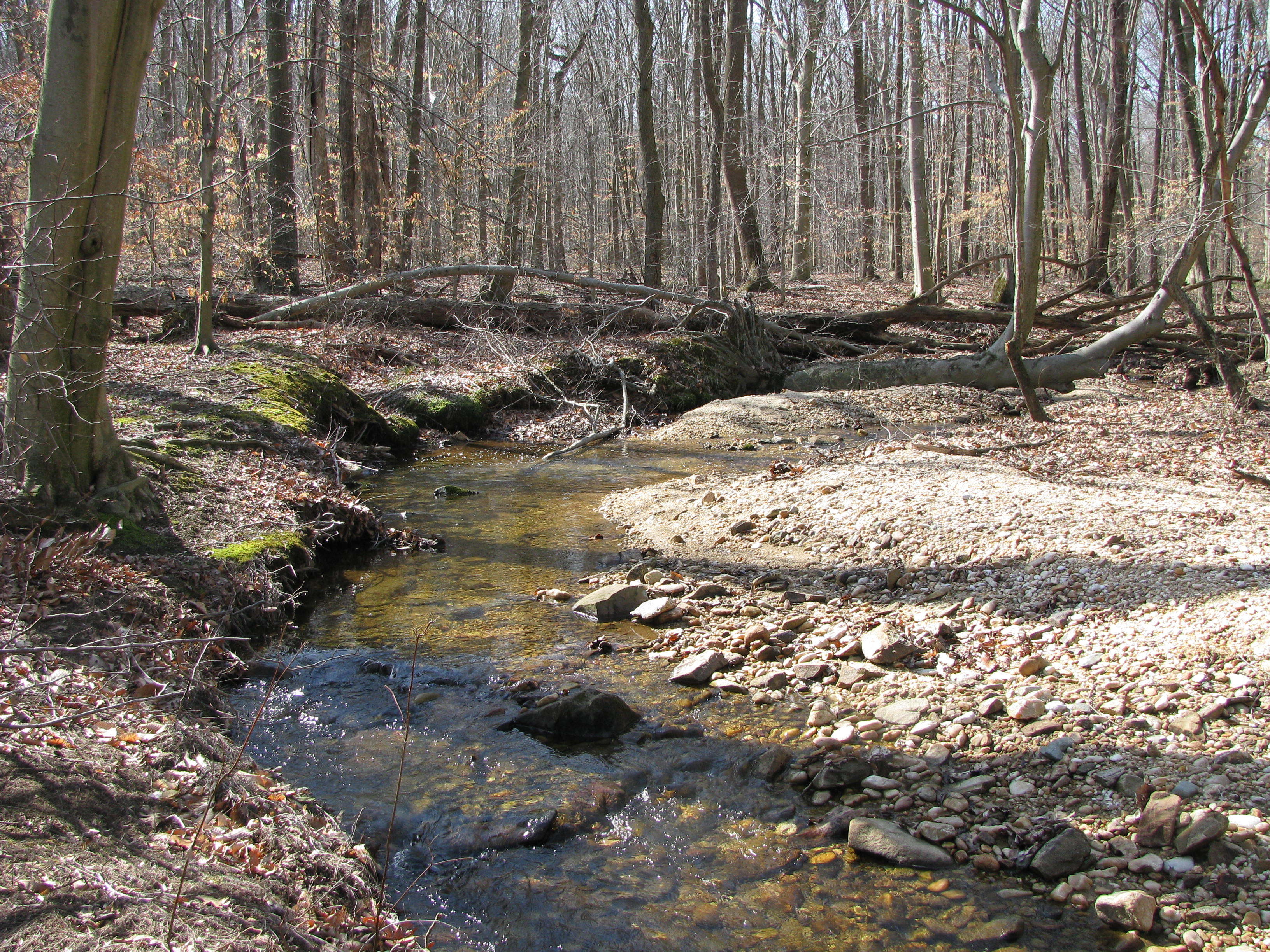 Field photo showing stream conditions at site FURN-101-S-2012-1