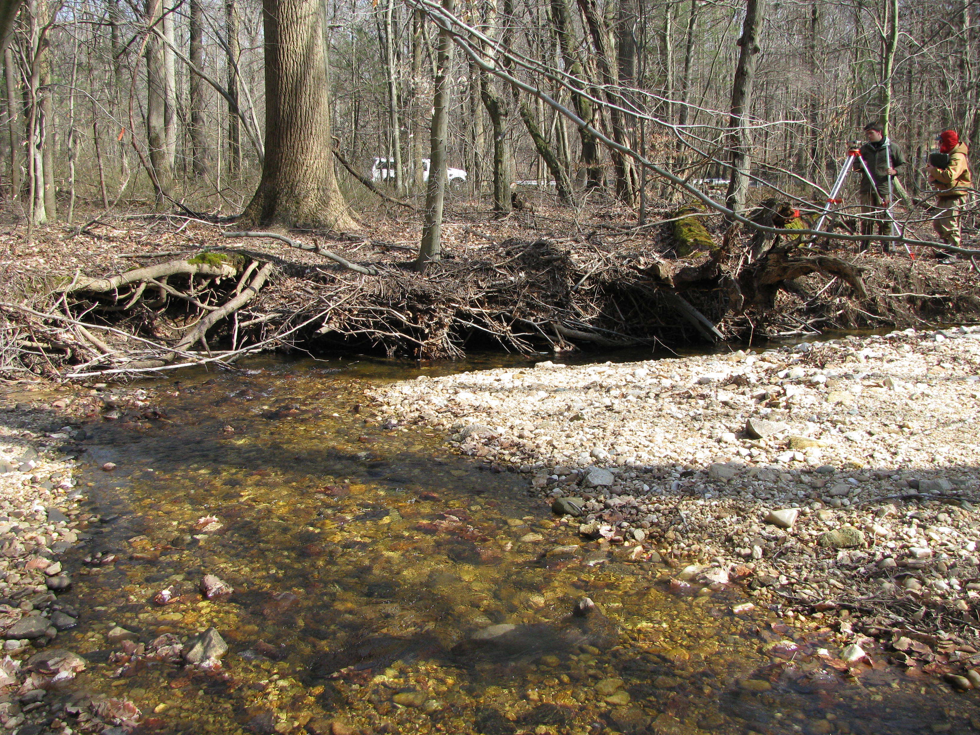 Field photo showing stream conditions at site FURN-101-S-2012-2