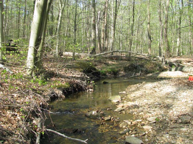 Field photo showing stream conditions at site FURN-101-S-2013-1