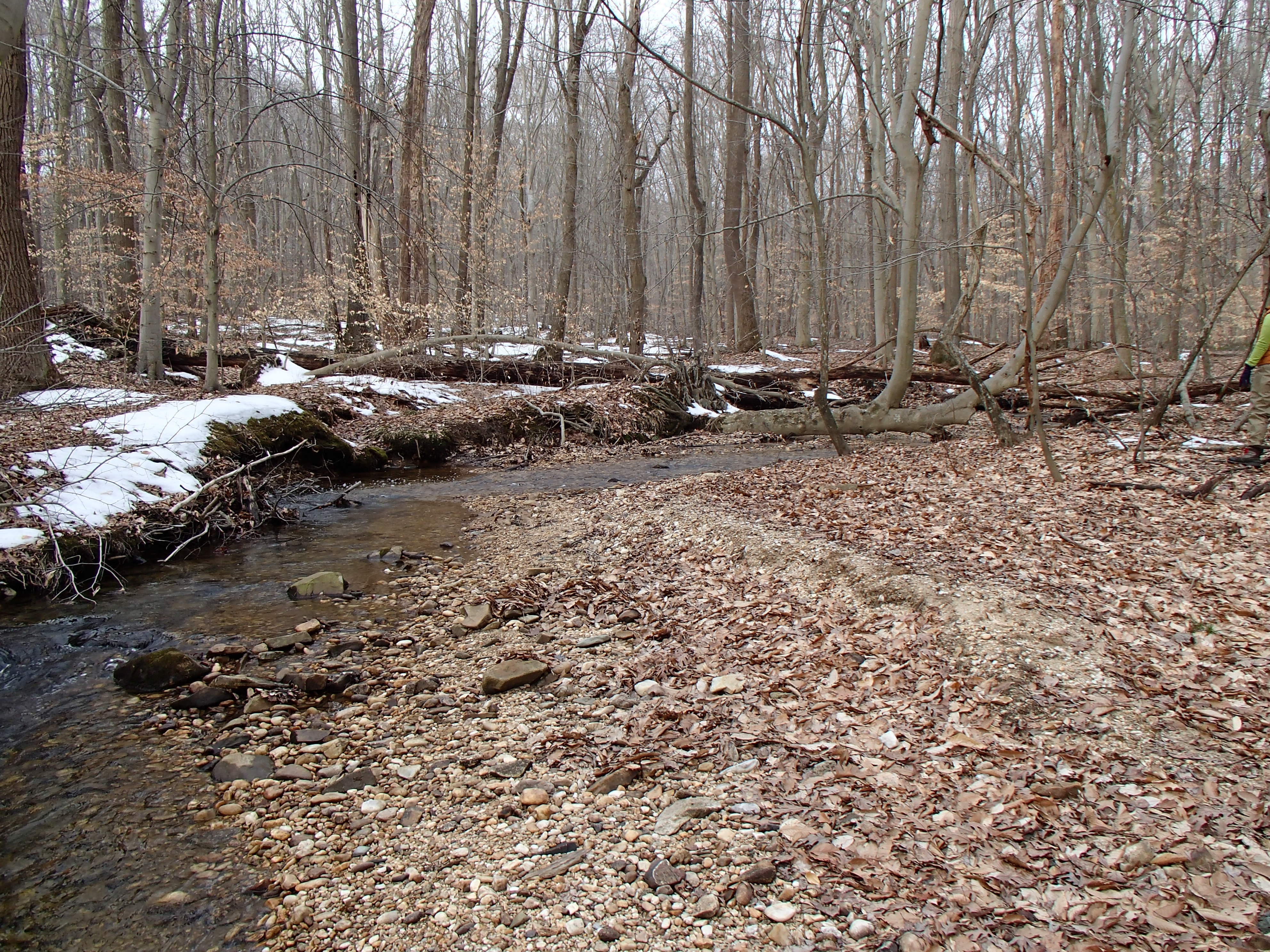 Field photo showing stream conditions at site FURN-101-S-2014-1