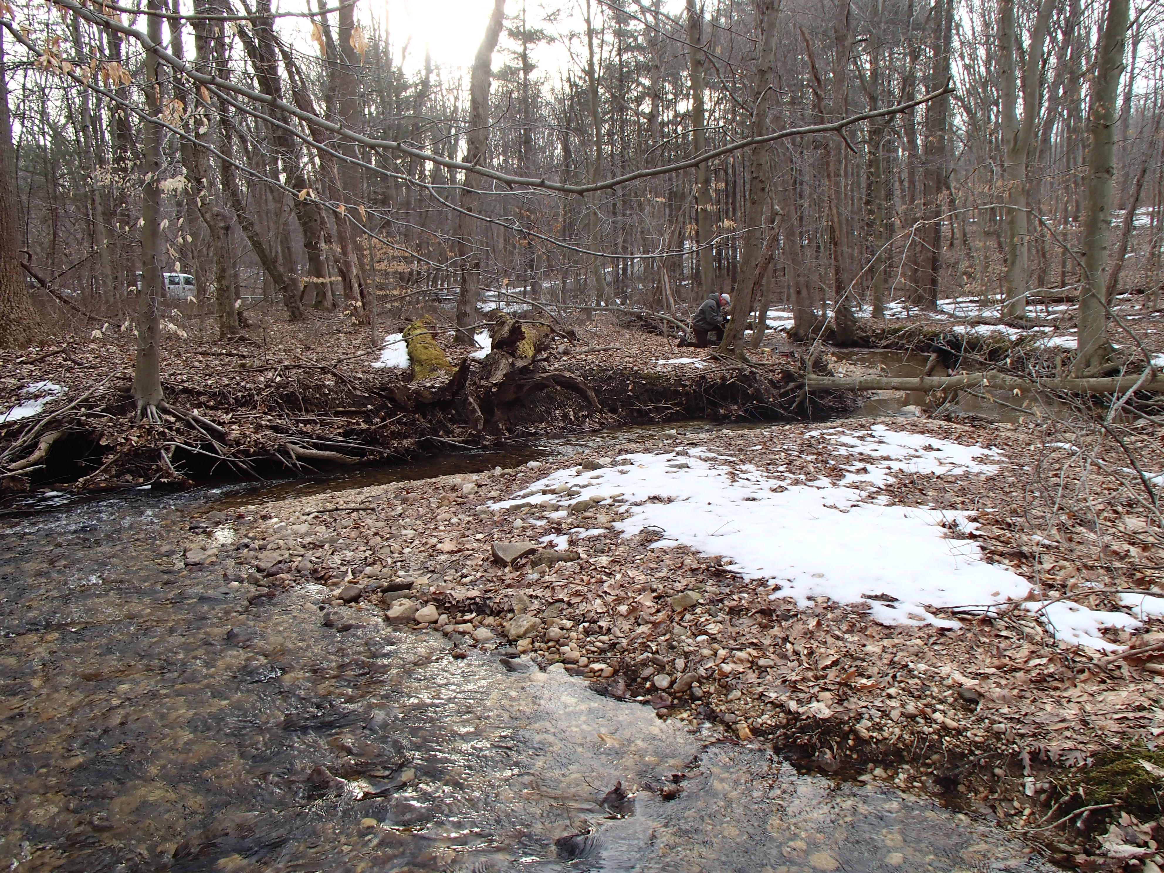 Field photo showing stream conditions at site FURN-101-S-2014-2