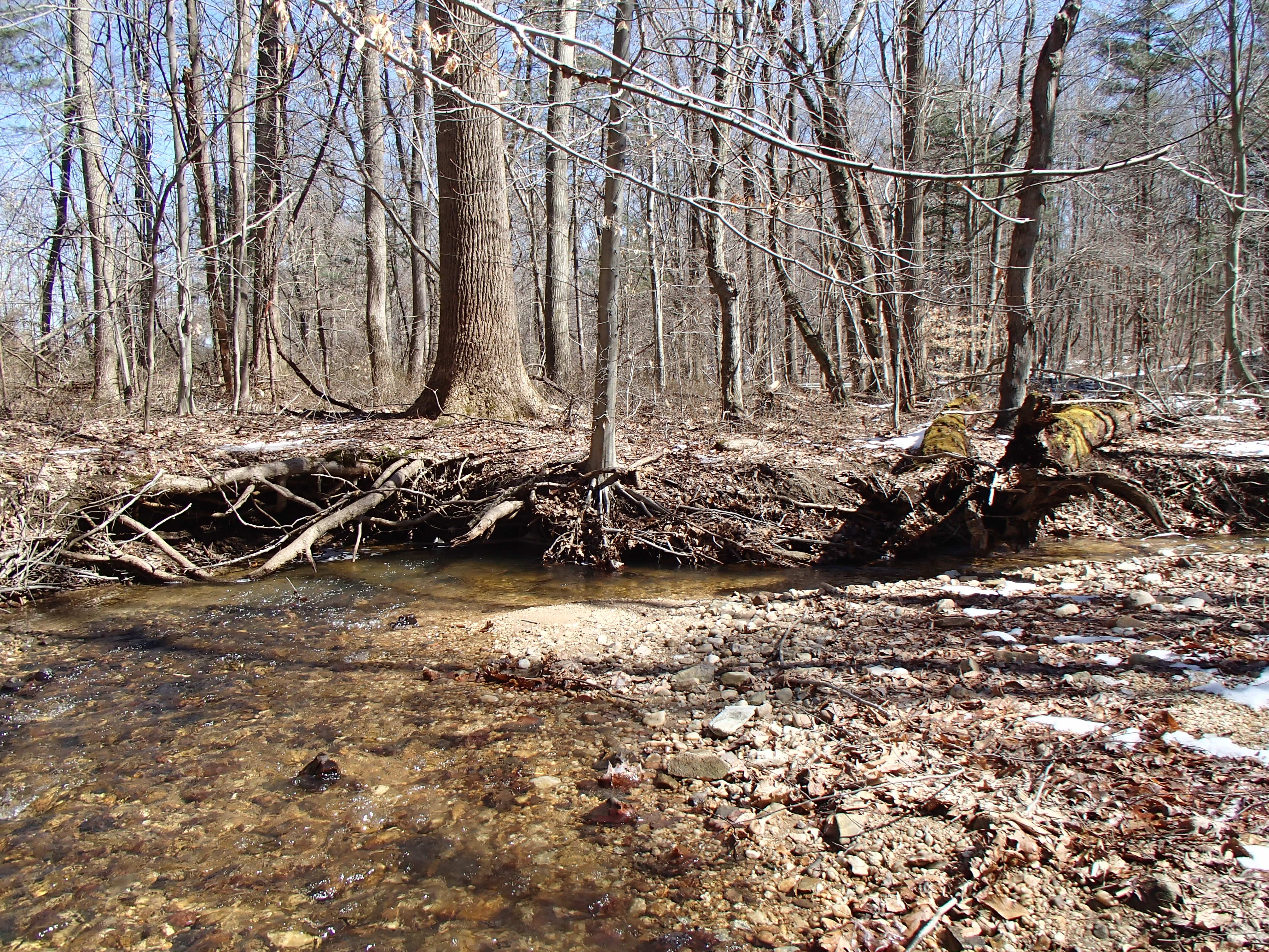 Field photo showing stream conditions at site FURN-101-S-2015_Midpoint-downstream