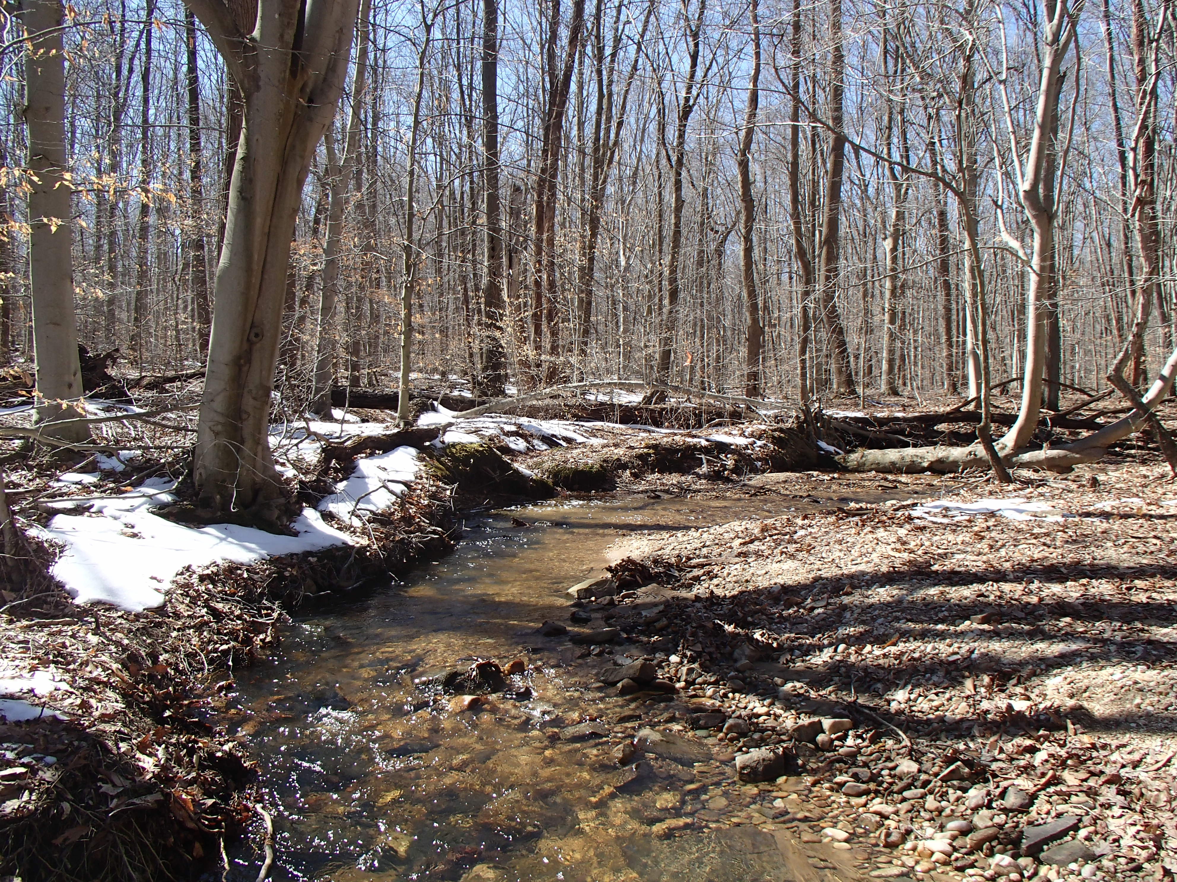 Field photo showing stream conditions at site FURN-101-S-2015_Midpoint-upstream