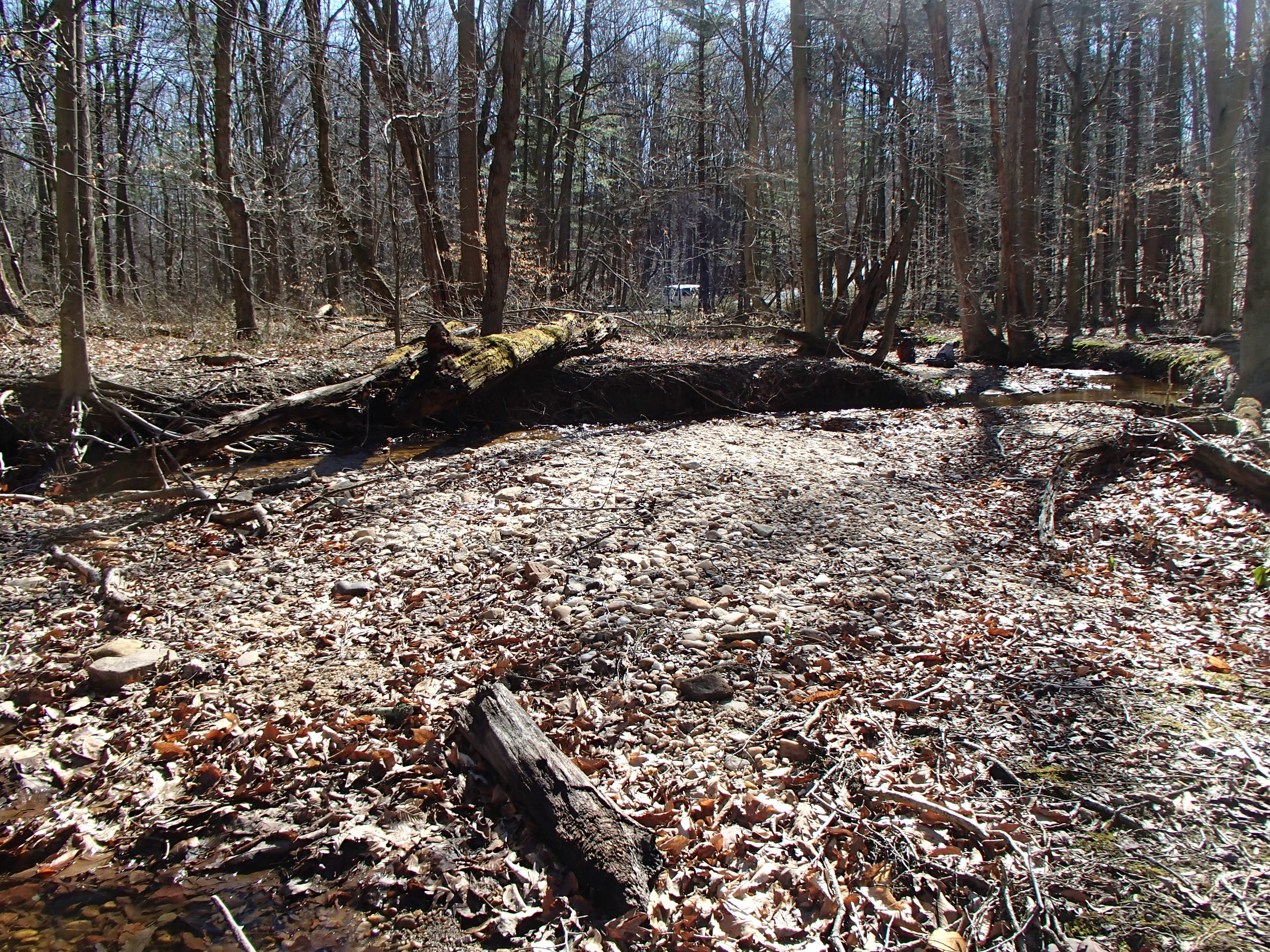 Field photo showing stream conditions at site FURN-101-S-2017-MidpointLookingDownstream