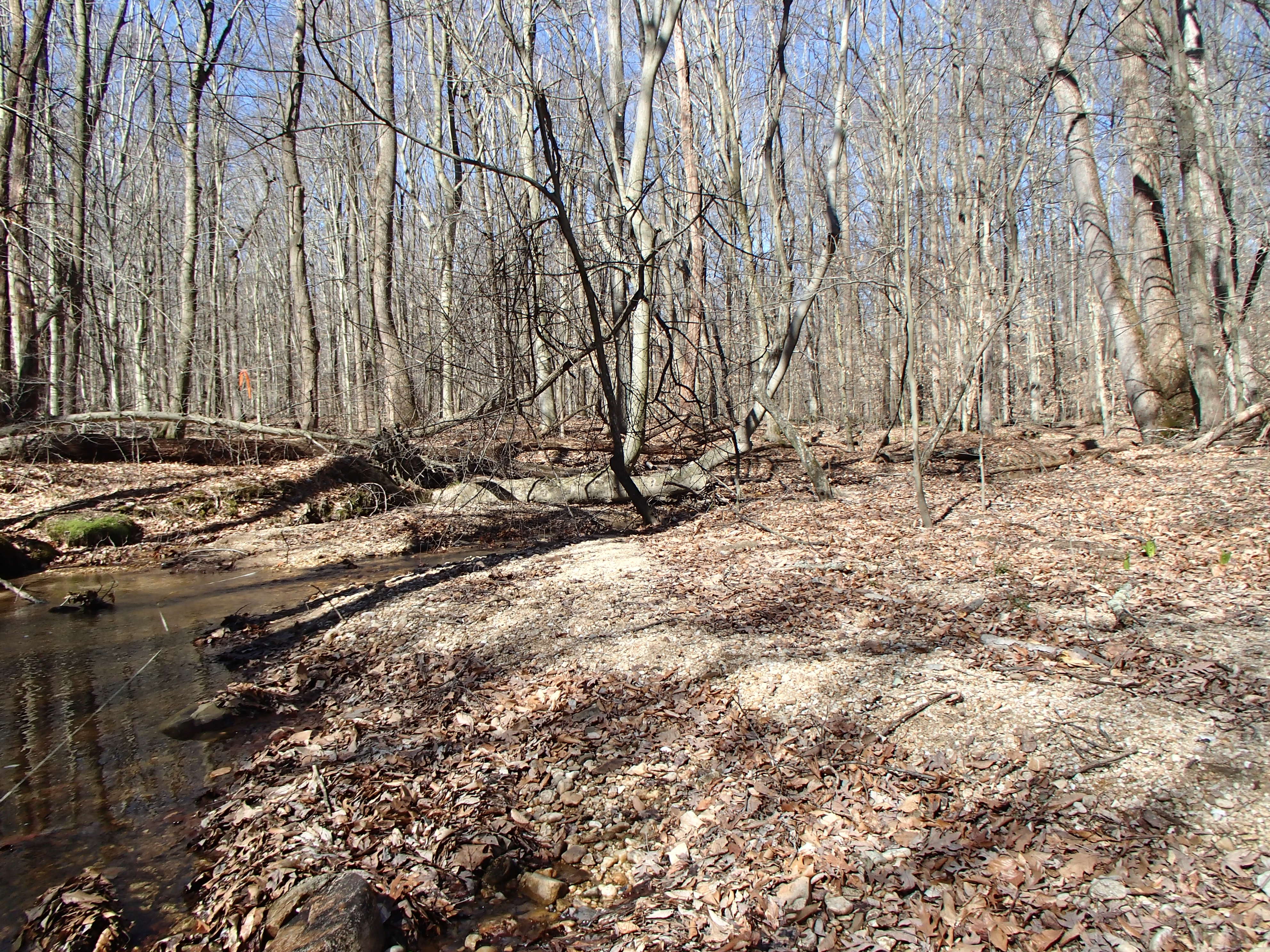 Field photo showing stream conditions at site FURN-101-S-2017-MidpointLookingUpstream