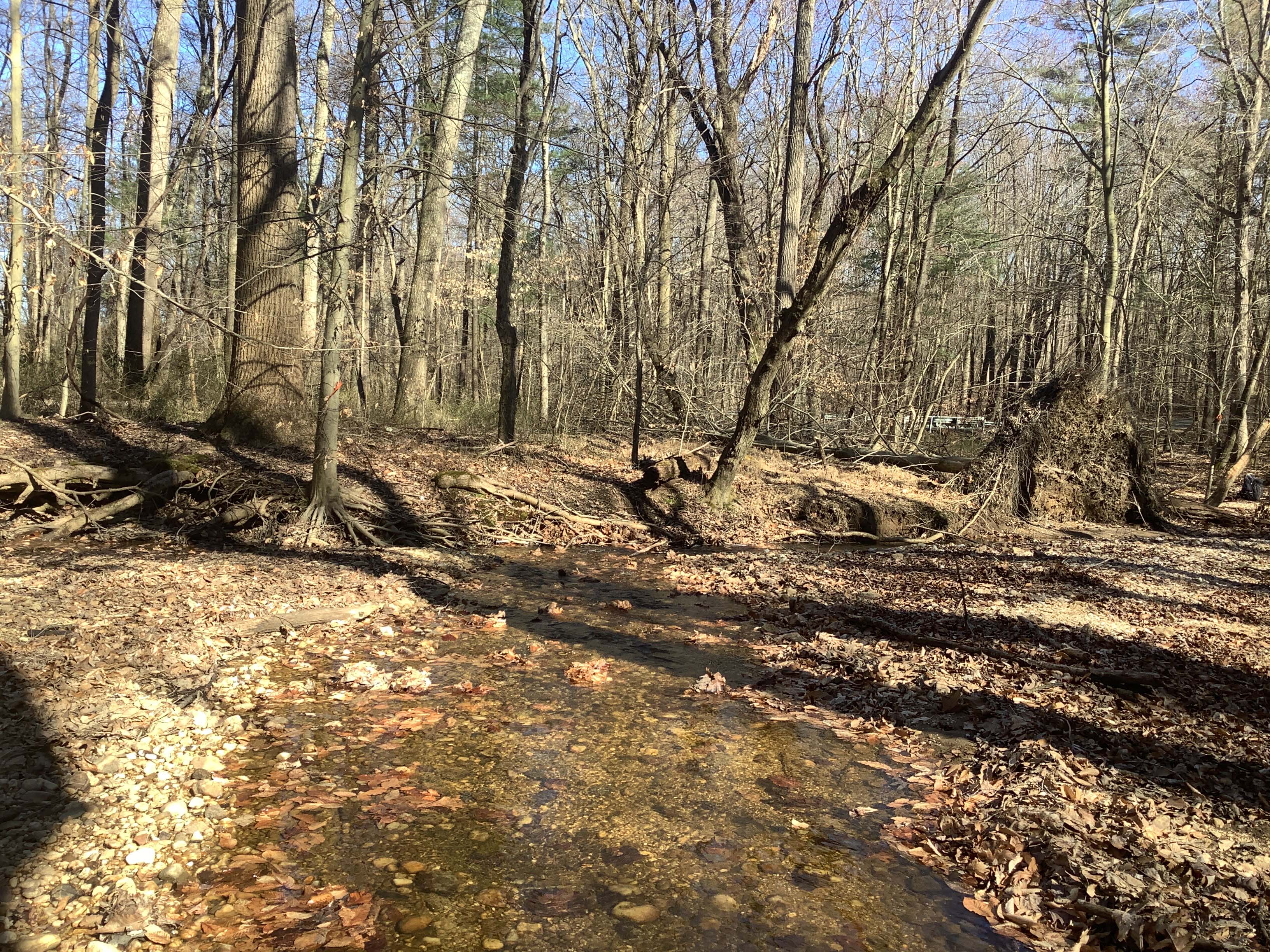 Field photo showing stream conditions at site FURN-101-S-2023_Midpoint_facing_downstream