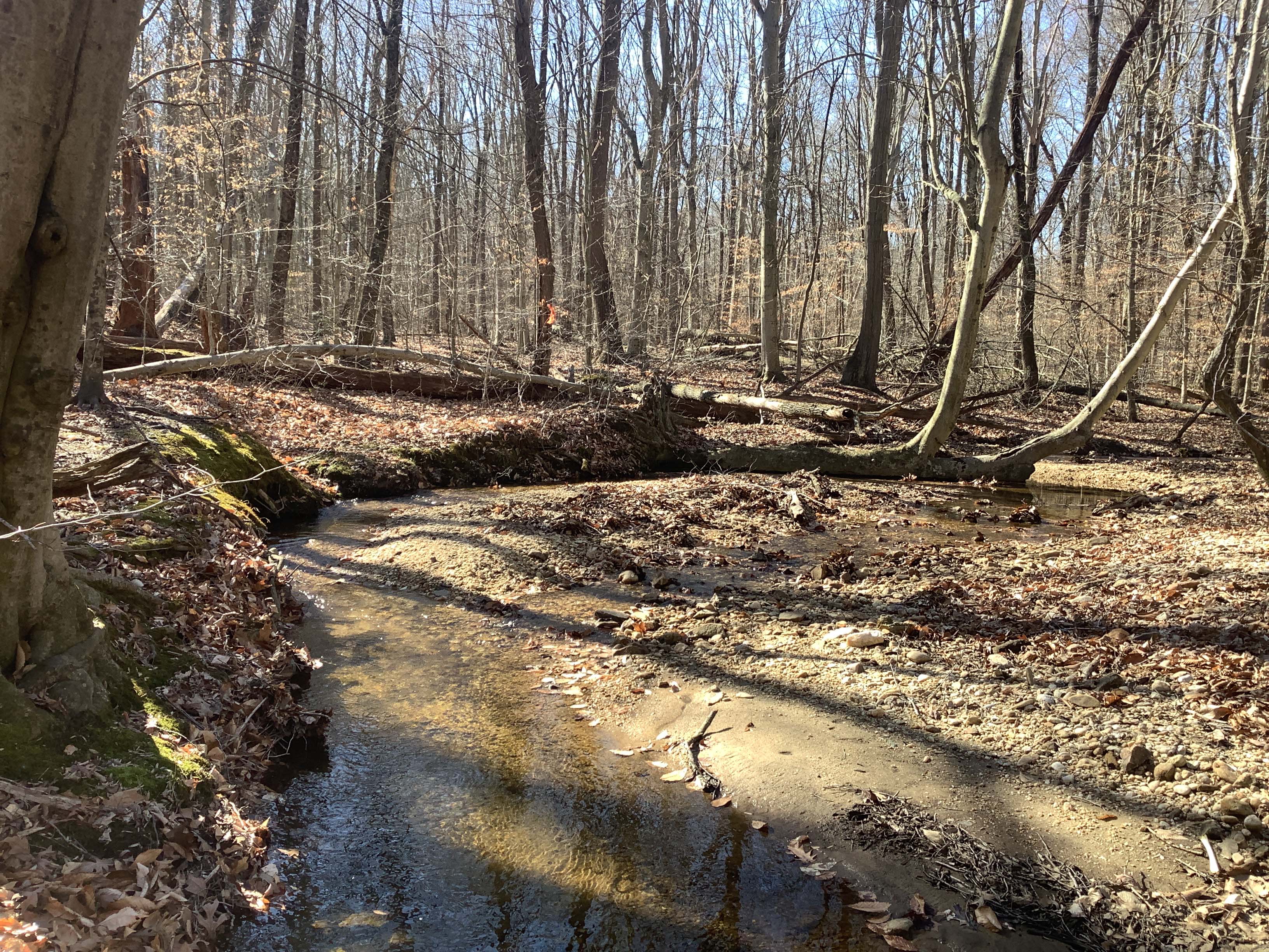 Field photo showing stream conditions at site FURN-101-S-2023_Midpoint_facing_upstream