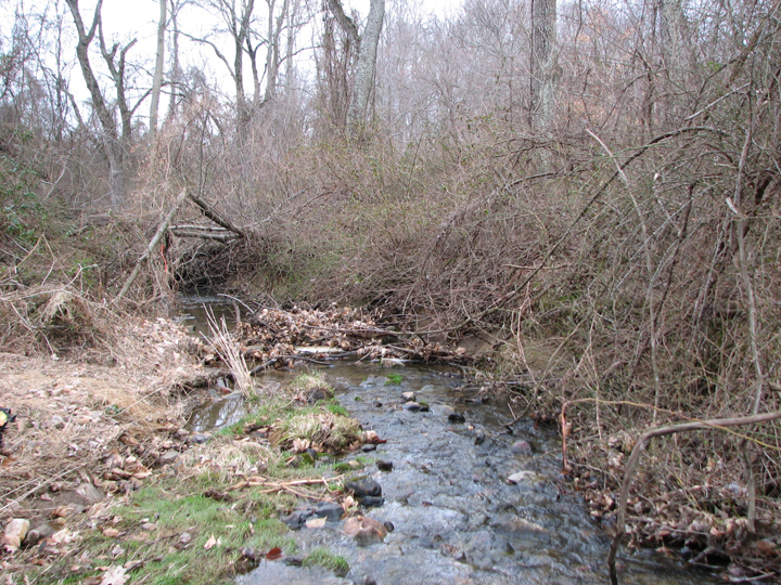 Field photo showing stream conditions at site FURN-106-B-2008-1
