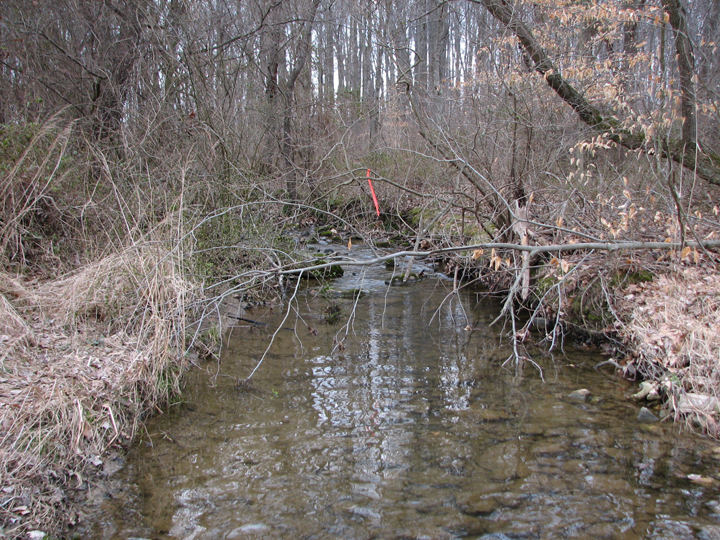 Field photo showing stream conditions at site FURN-106-B-2008-2