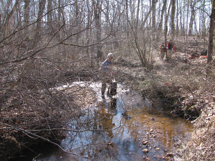 Field photo showing stream conditions at site FURN-115-A-2010-1
