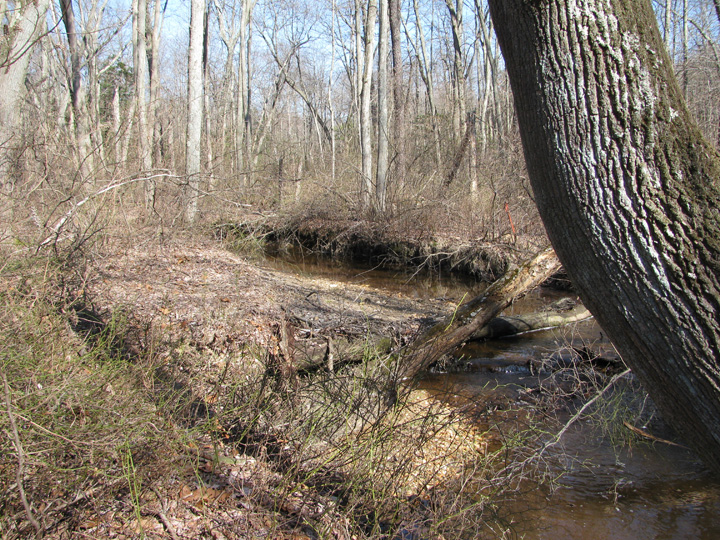 Field photo showing stream conditions at site FURN-115-A-2010-2