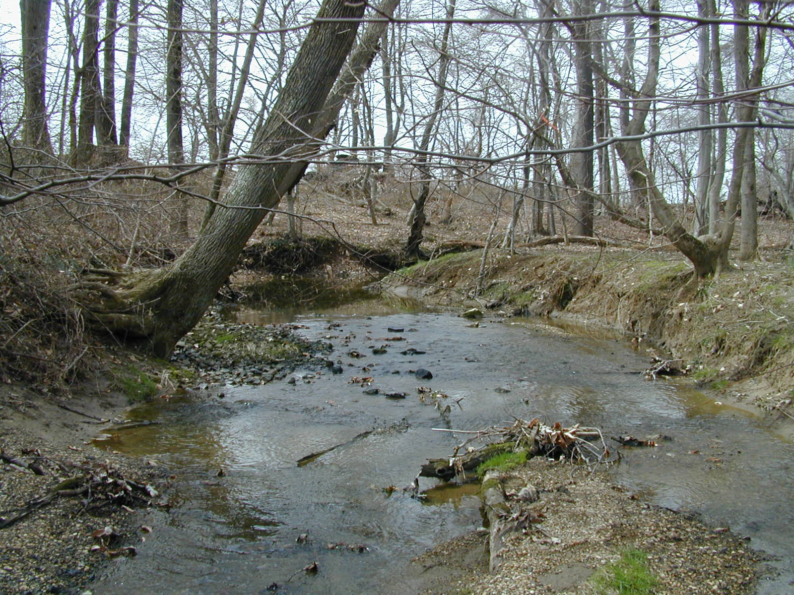 Field photo showing stream conditions at site FURN-118-R-2001-1