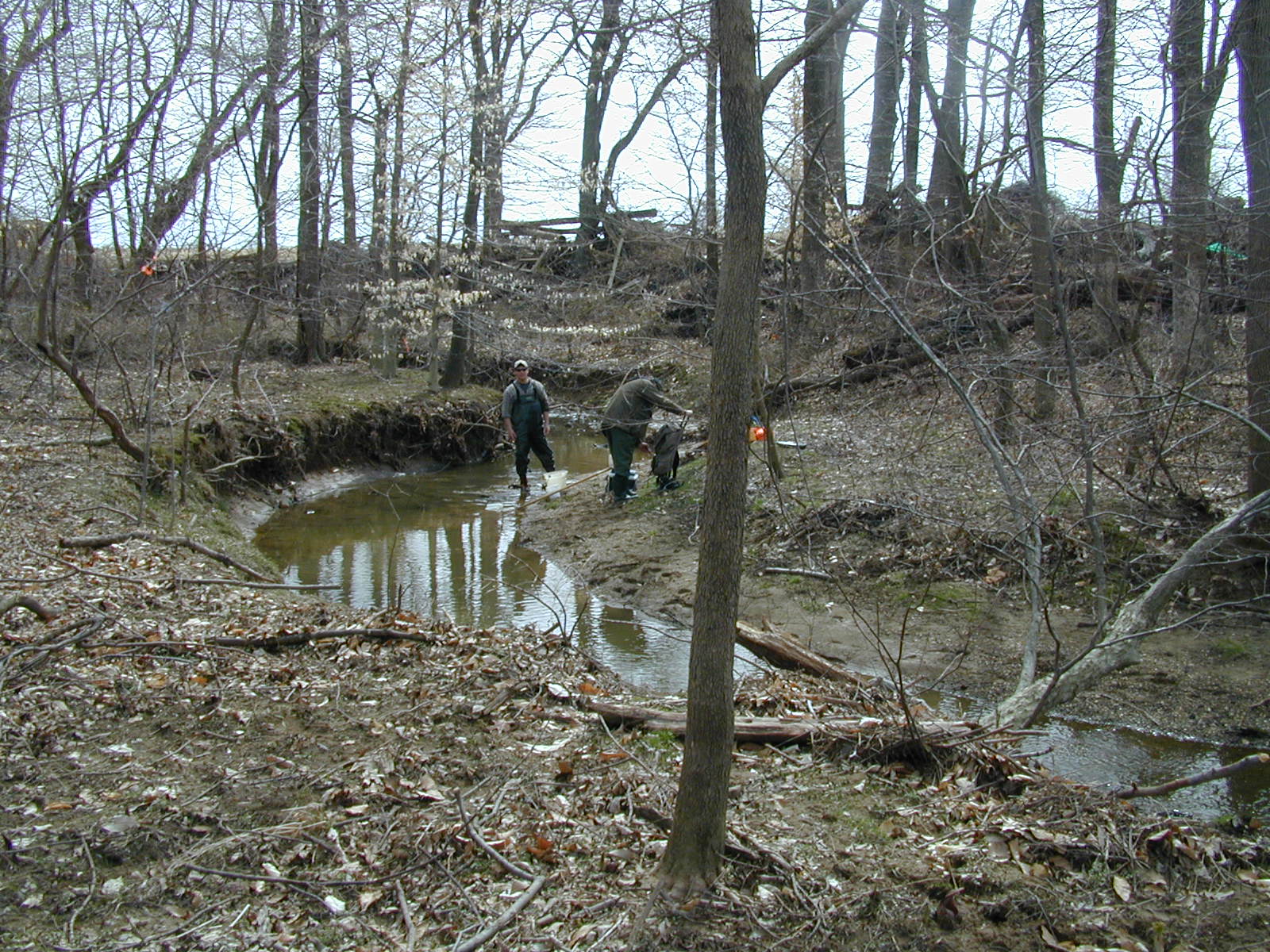 Field photo showing stream conditions at site FURN-118-R-2001-2