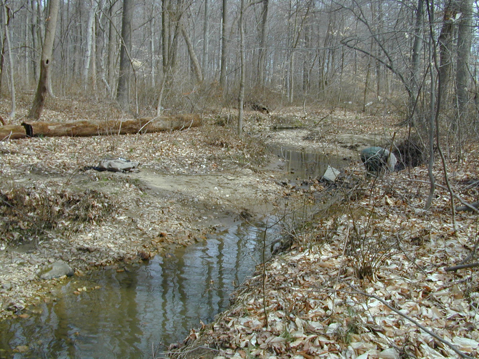 Field photo showing stream conditions at site FURN-119-R-2001-2