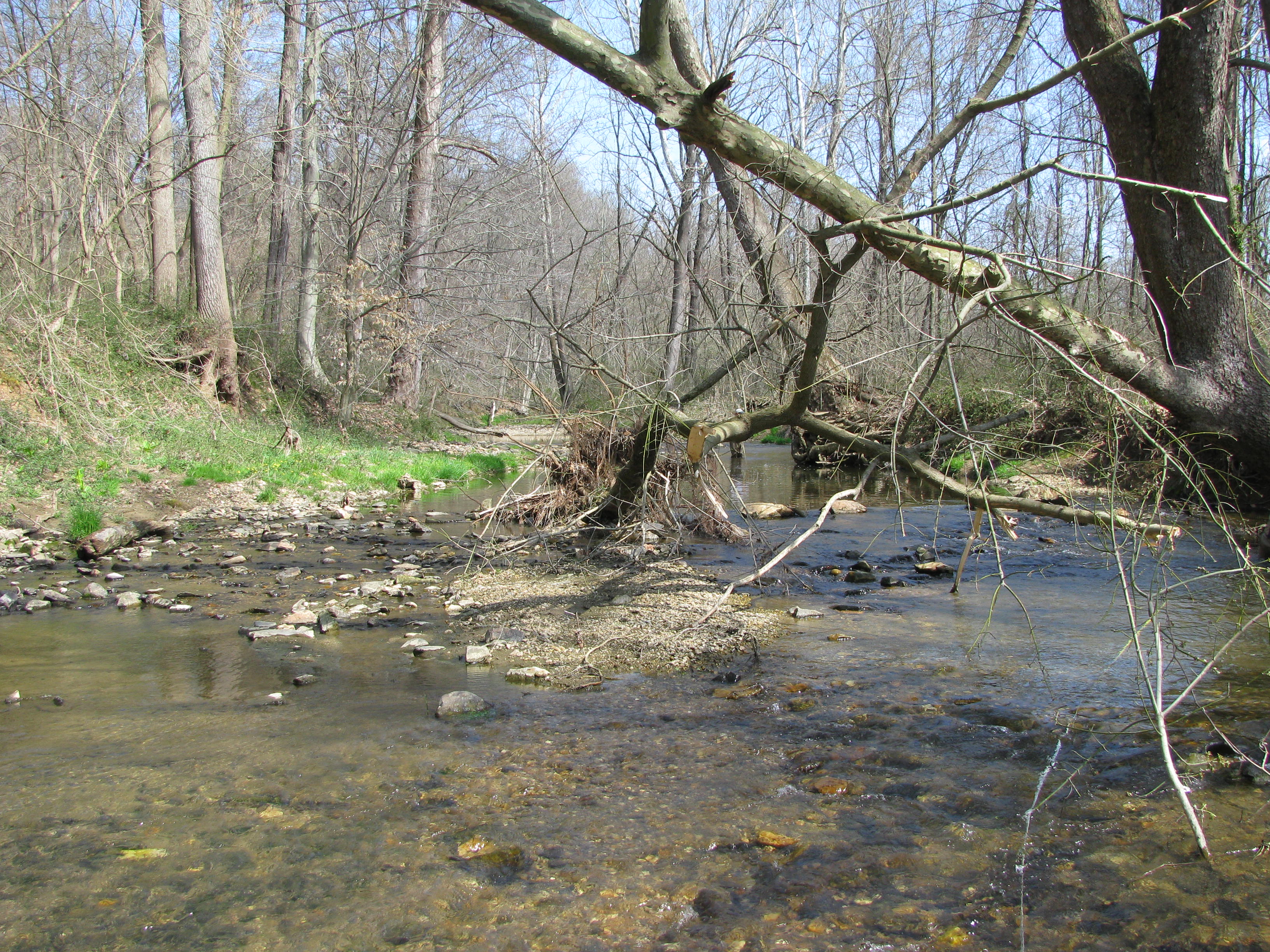 Field photo showing stream conditions at site FURN-210-A-2012-1