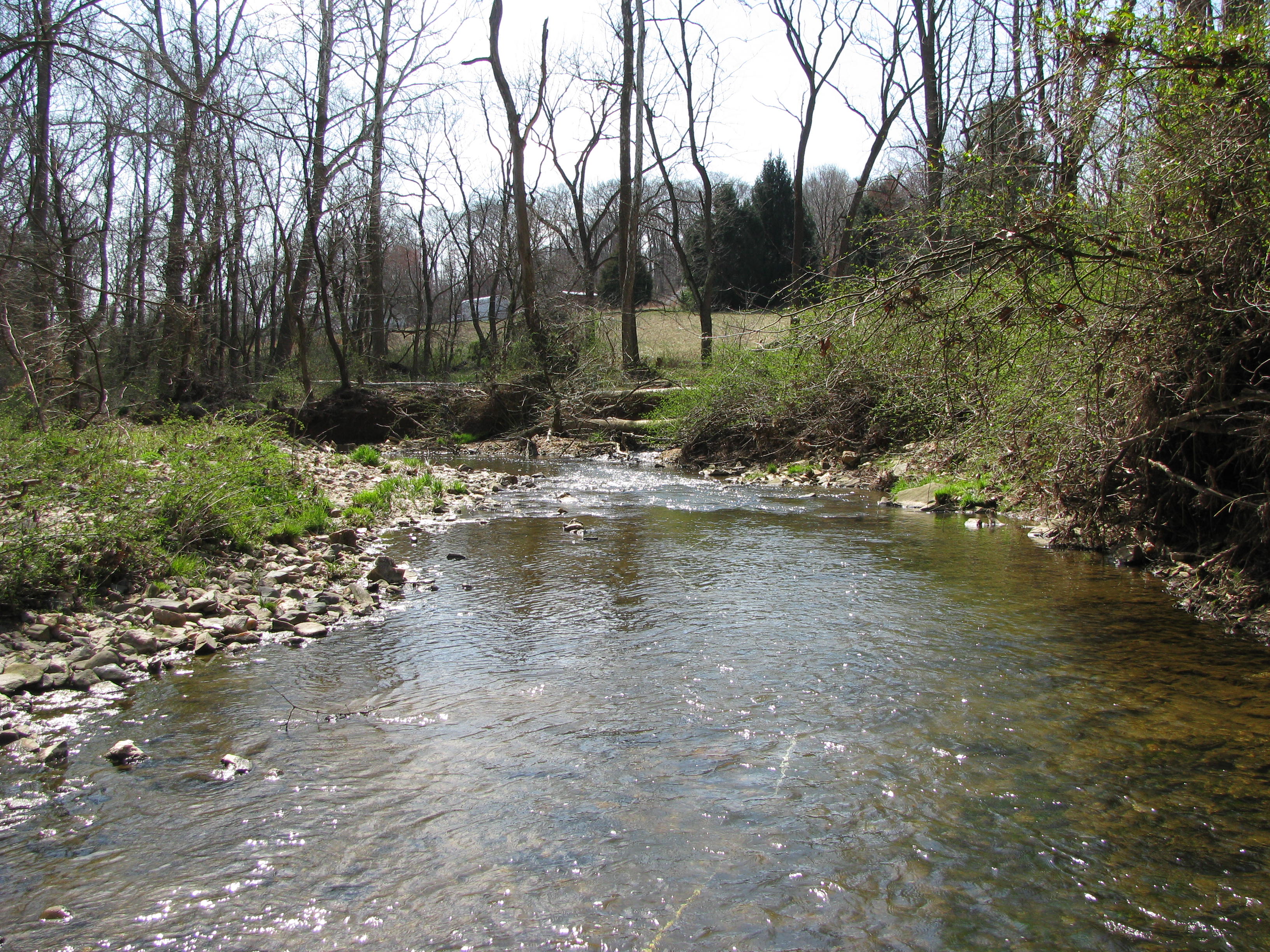 Field photo showing stream conditions at site FURN-210-A-2012-2
