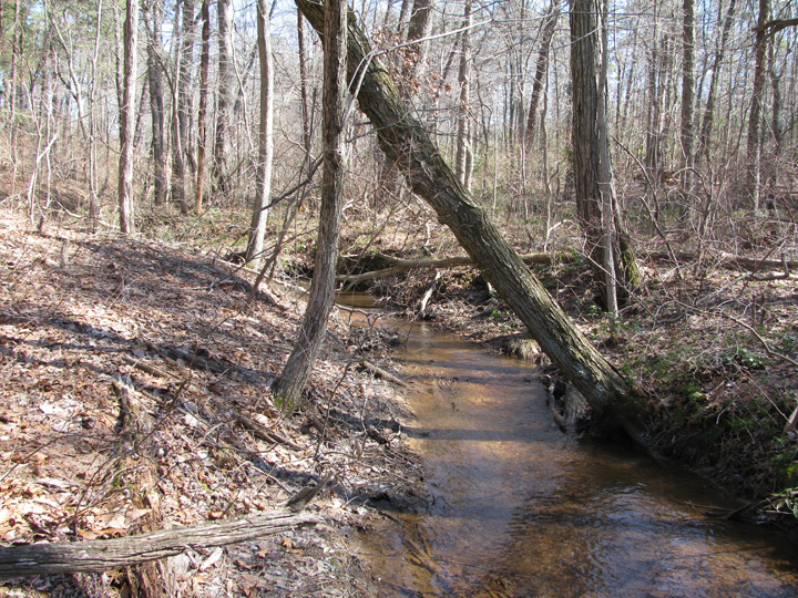 Field photo showing stream conditions at site FURN-216-A-2010-1