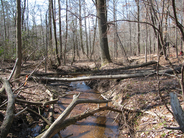Field photo showing stream conditions at site FURN-216-A-2010-2