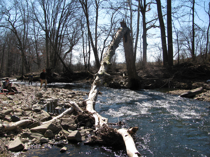 Field photo showing stream conditions at site FURN-217-A-2010-1