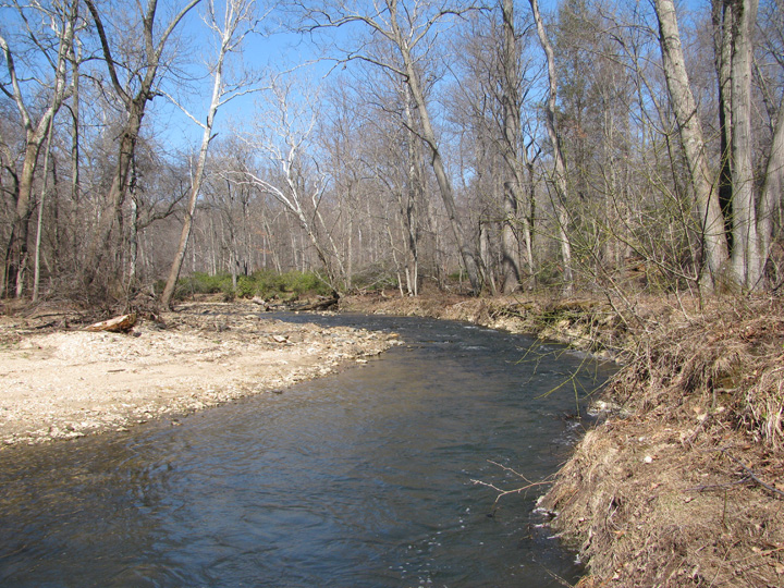 Field photo showing stream conditions at site FURN-217-A-2010-2