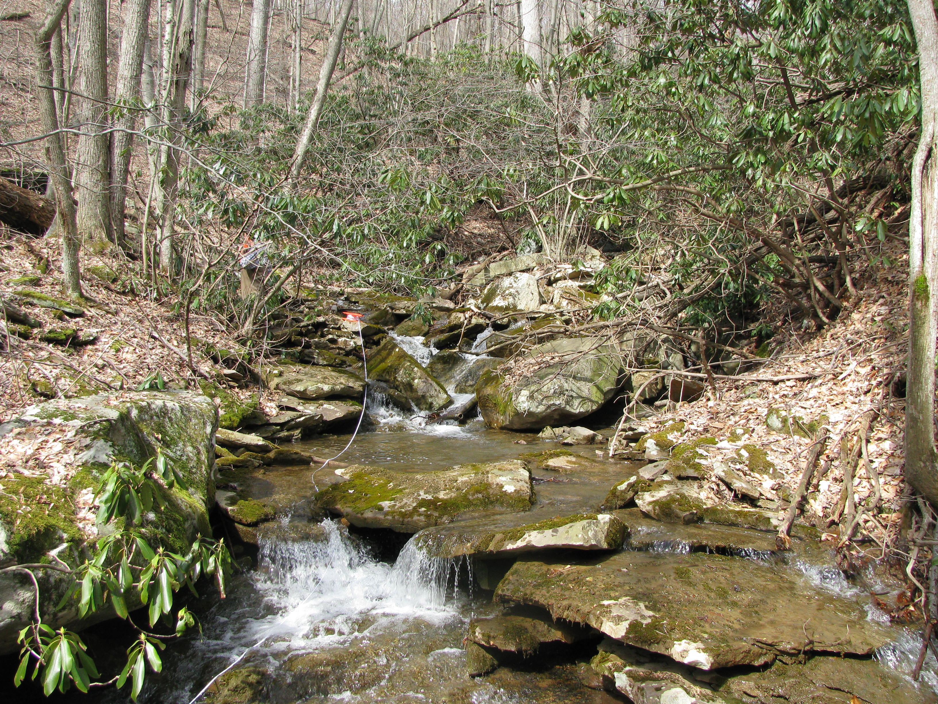 Field photo showing stream conditions at site GEOR-101-D-2012-1