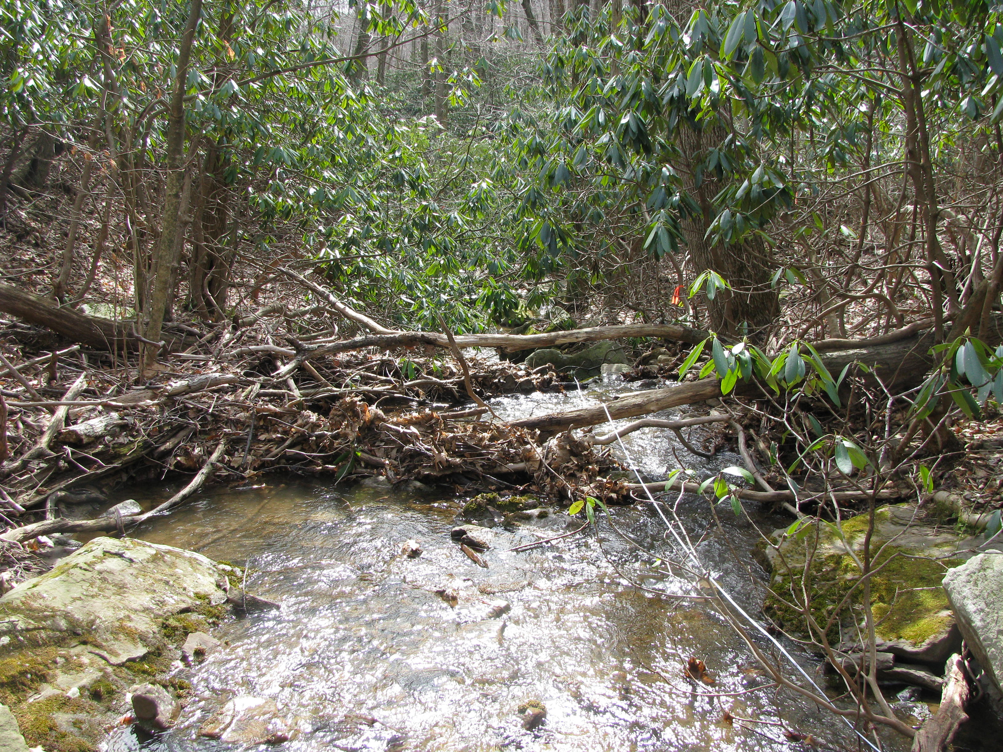 Field photo showing stream conditions at site GEOR-101-D-2012-2