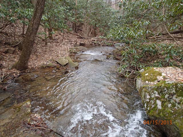 Field photo showing stream conditions at site GEOR-101-D-2013-MidpointDownstream