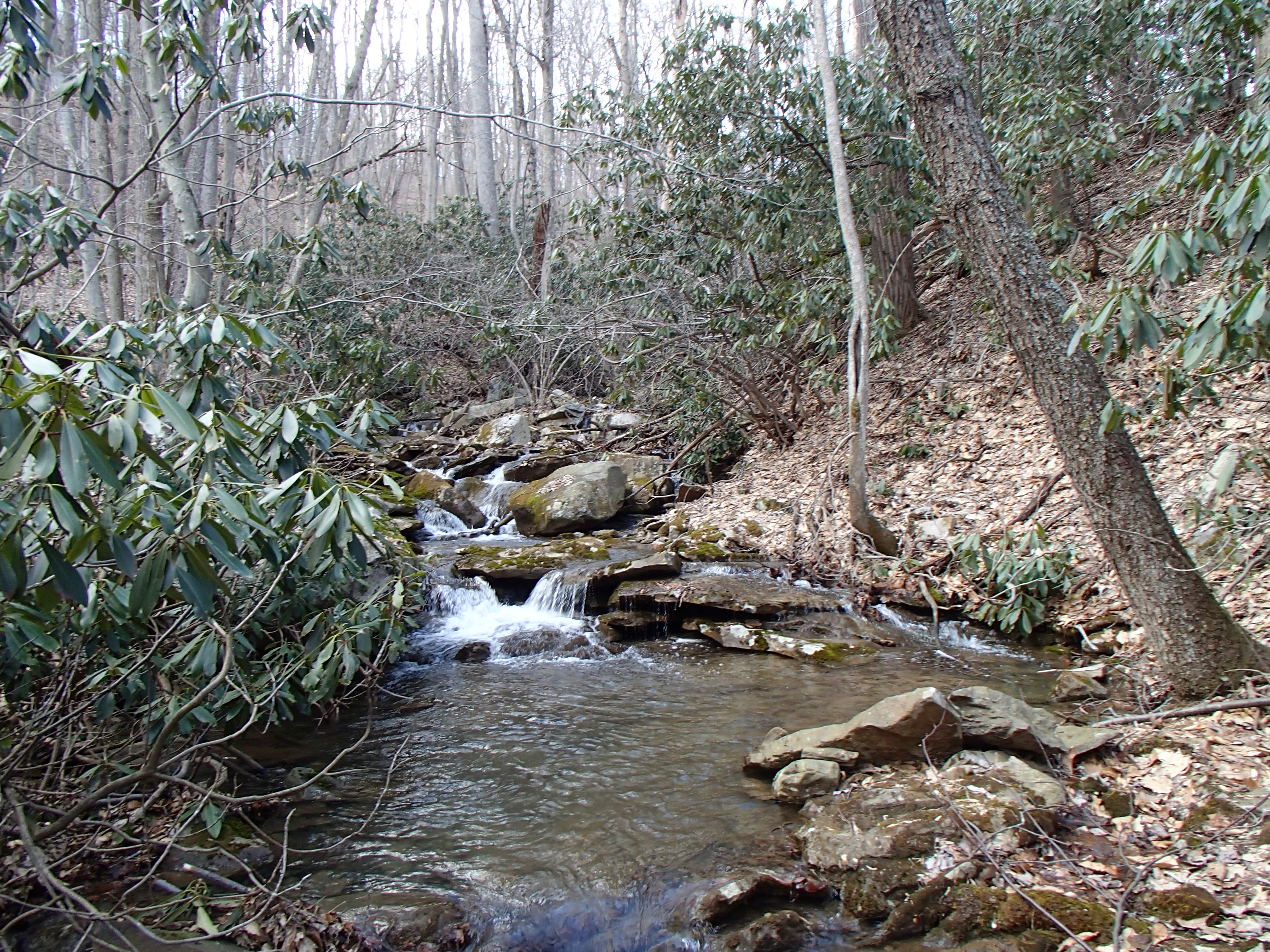 Field photo showing stream conditions at site GEOR-101-D-2014-1