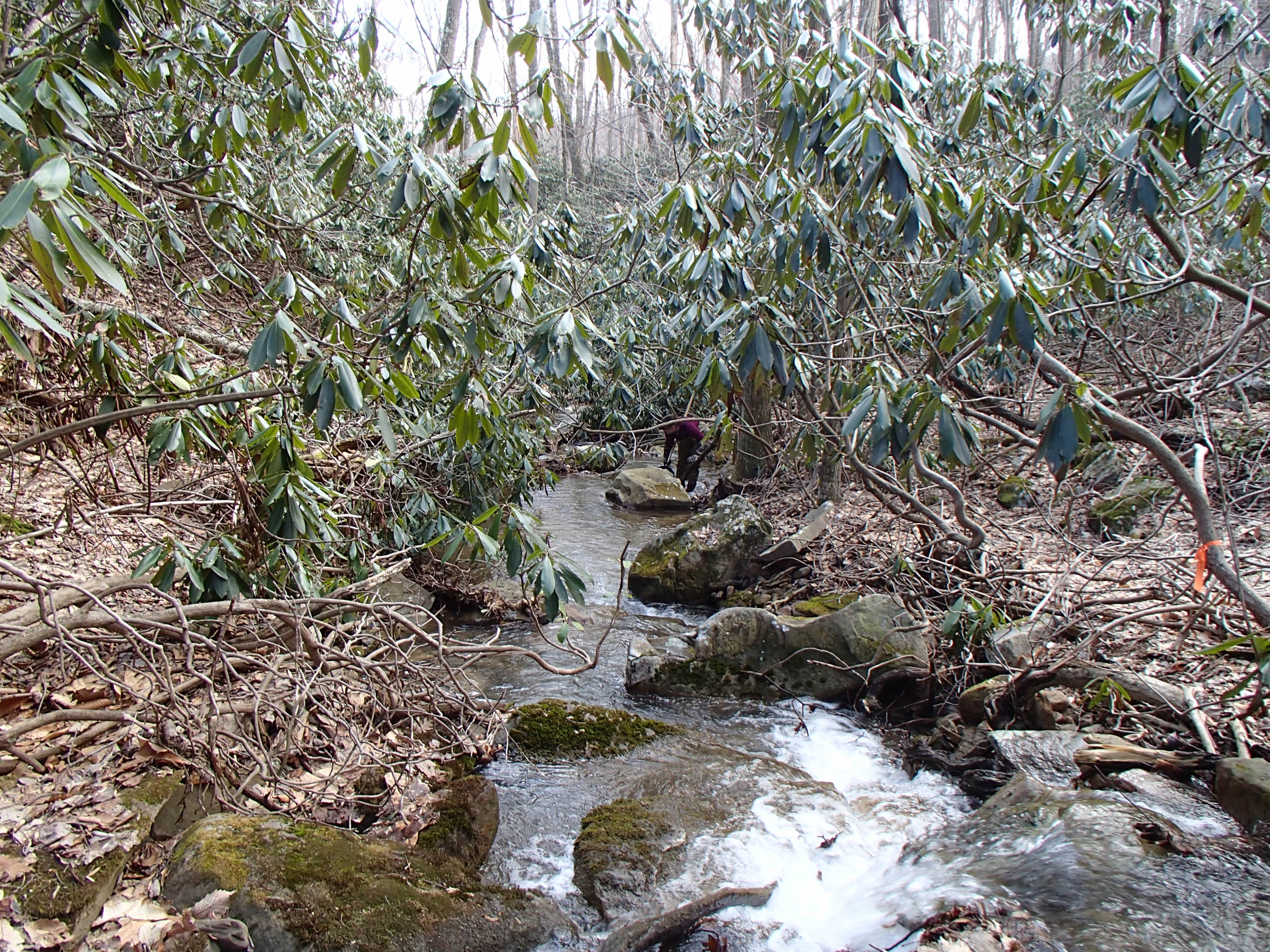 Field photo showing stream conditions at site GEOR-101-D-2014-2