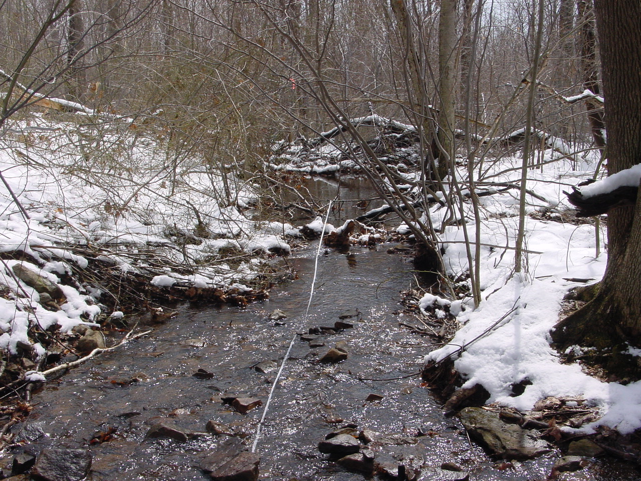 Field photo showing stream conditions at site GEOR-102-R-2003-1