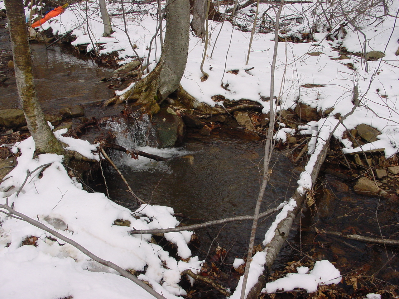 Field photo showing stream conditions at site GEOR-102-R-2003-2