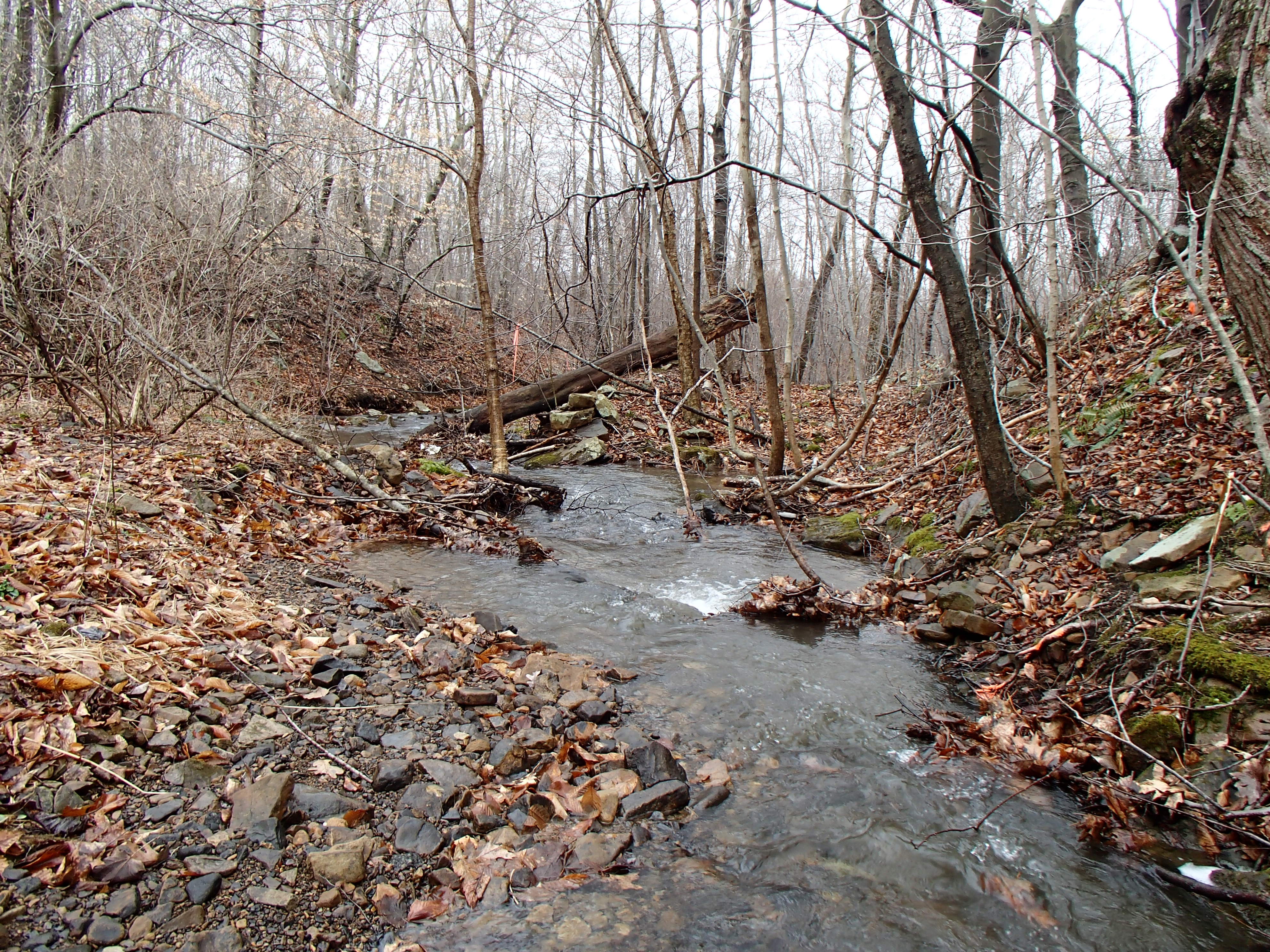 Field photo showing stream conditions at site GEOR-102-X-2015_Midpoint-looking-downstream