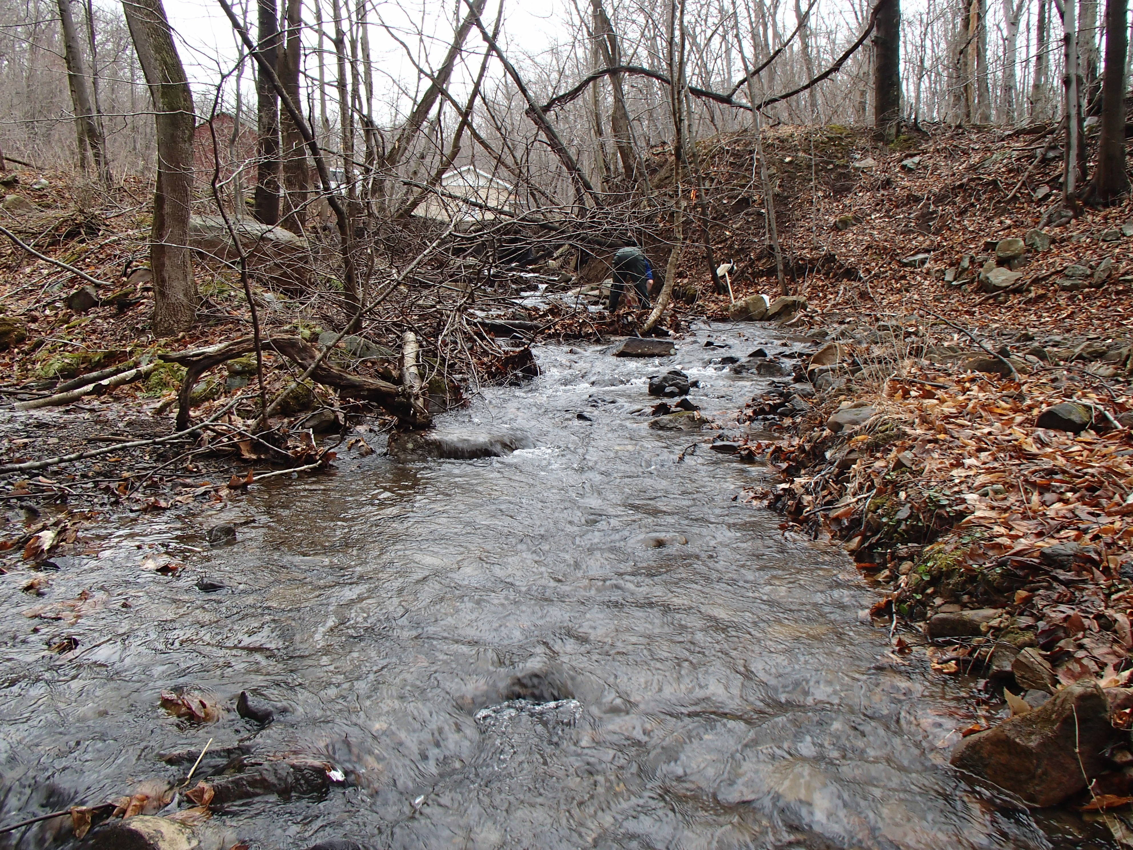 Field photo showing stream conditions at site GEOR-102-X-2015_Midpoint-looking-upstream