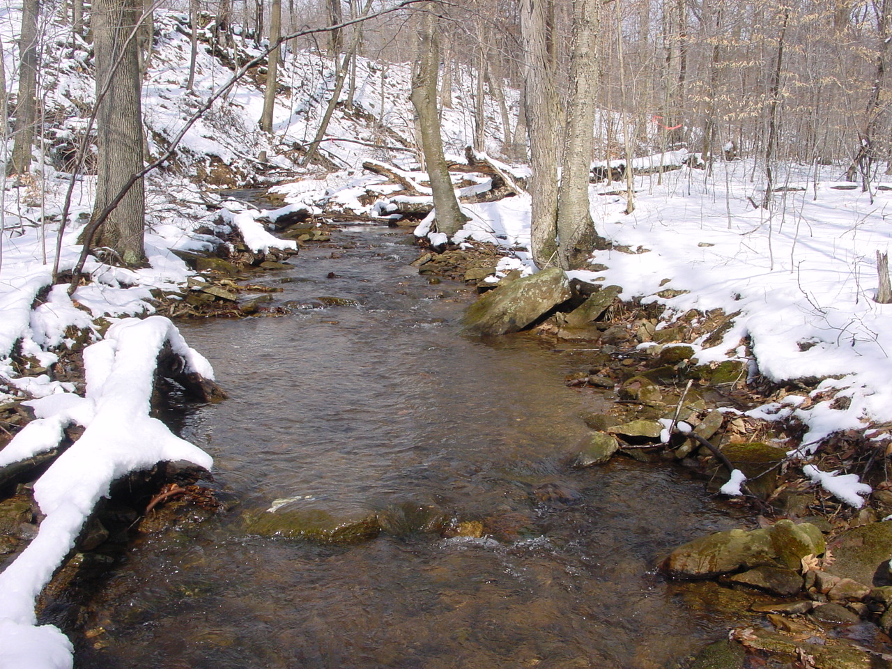 Field photo showing stream conditions at site GEOR-103-R-2003-2