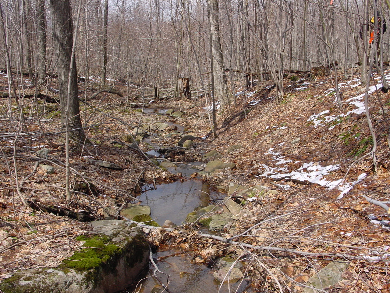 Field photo showing stream conditions at site GEOR-104-R-2003-1