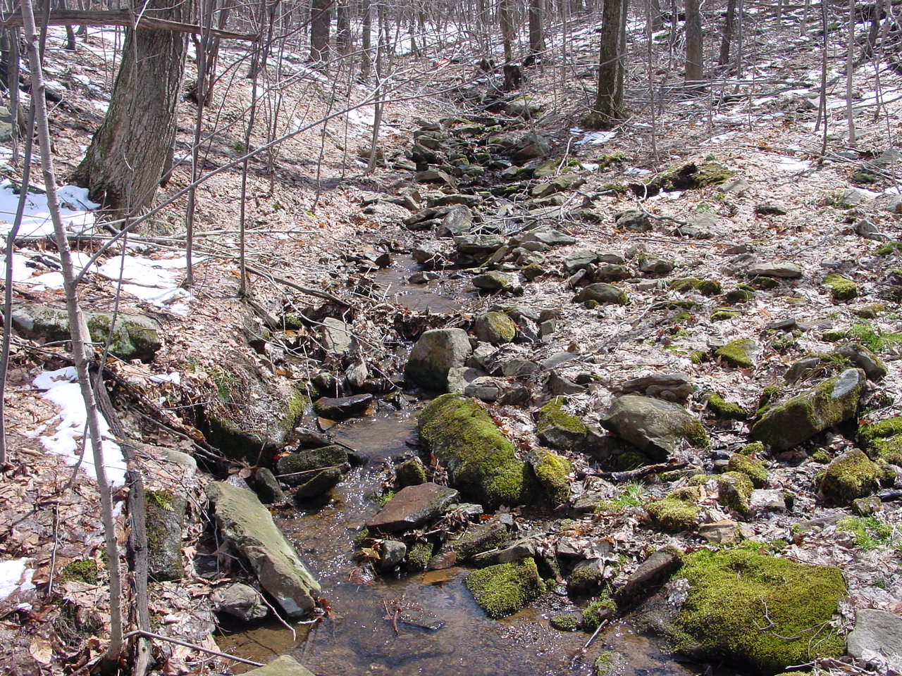 Field photo showing stream conditions at site GEOR-104-R-2003-2