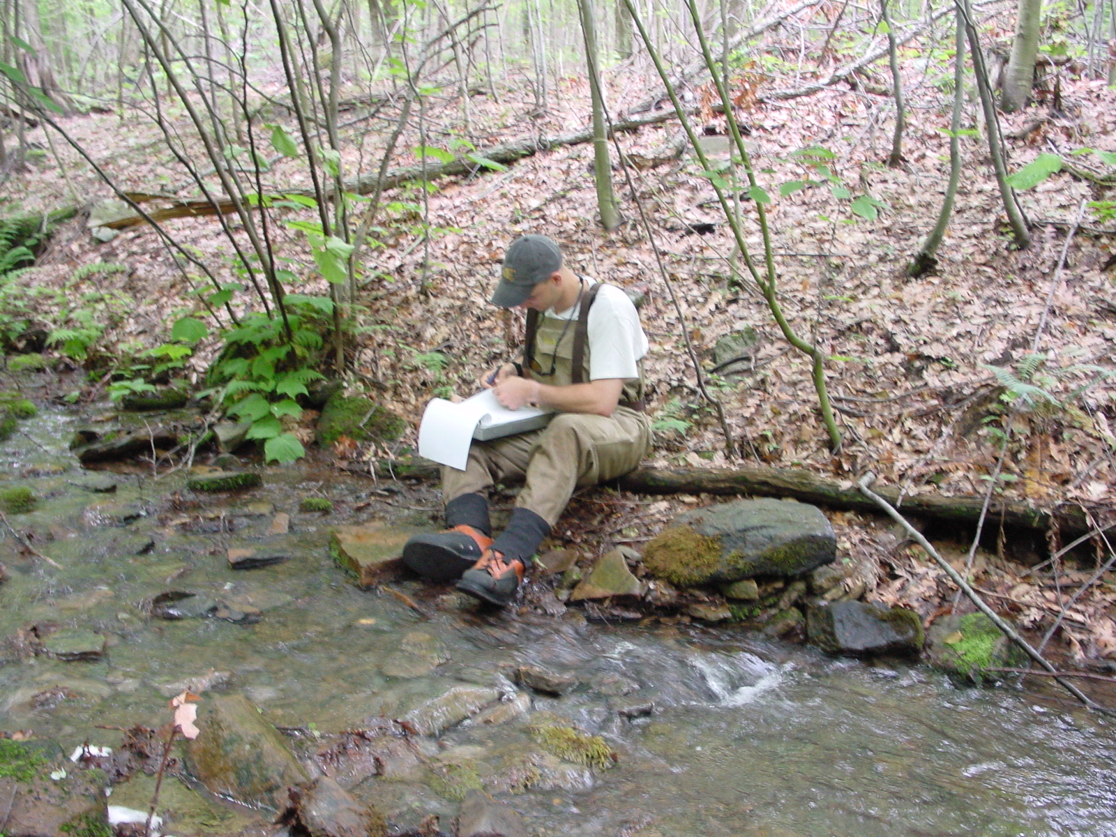Field photo showing stream conditions at site GEOR-104-R-2003-3