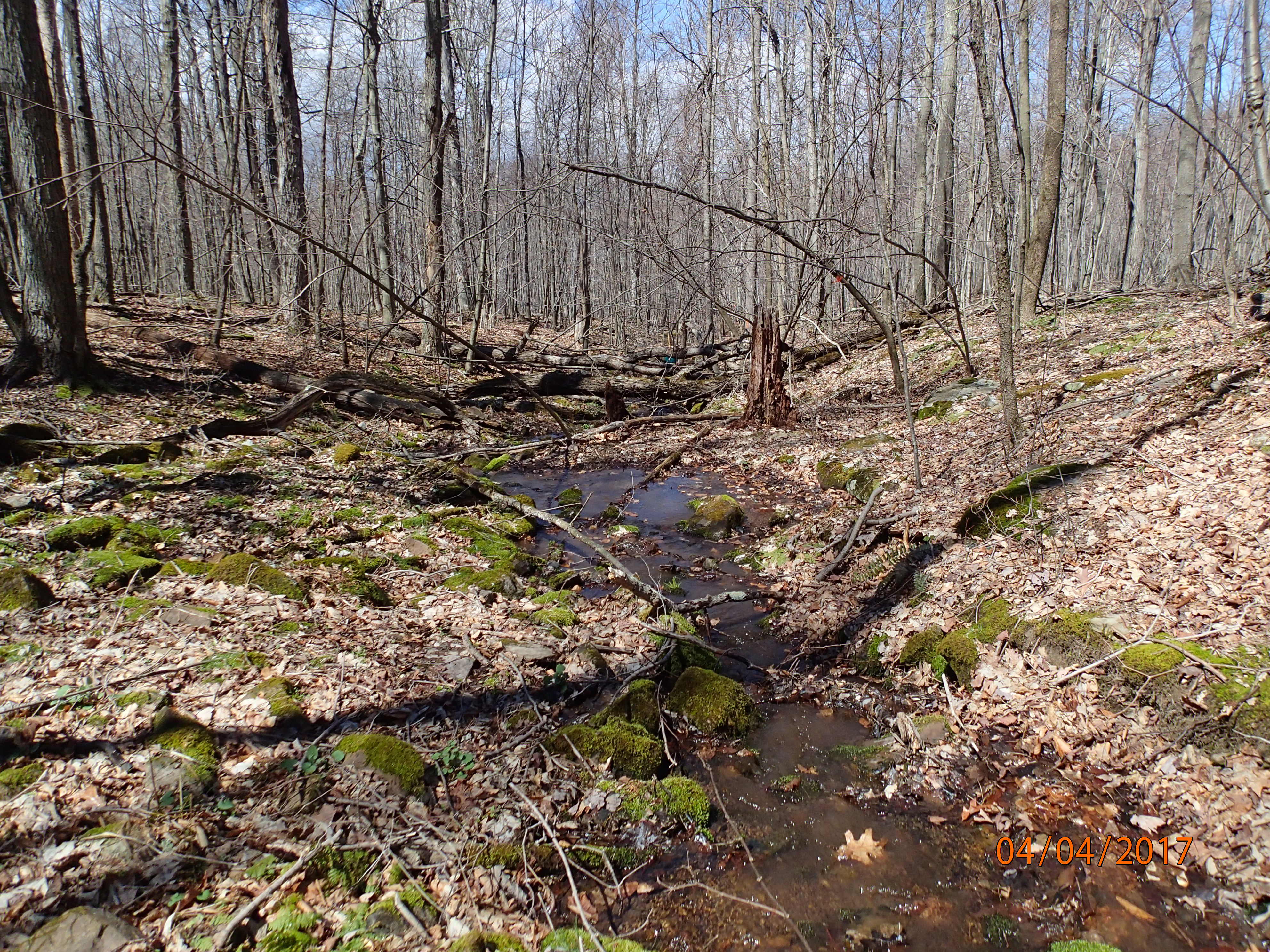 Field photo showing stream conditions at site GEOR-104-R-2017-MidpointDownstream