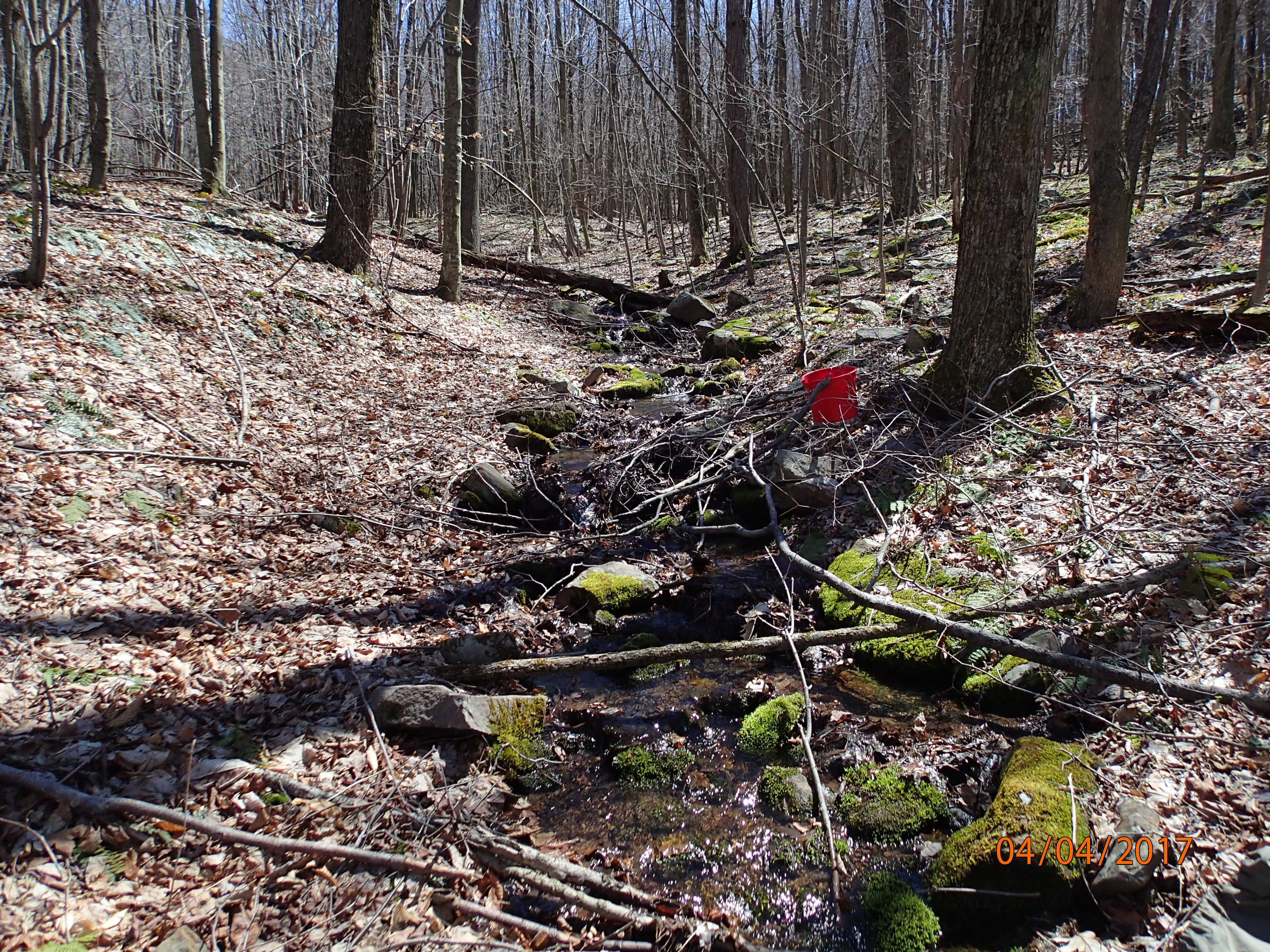 Field photo showing stream conditions at site GEOR-104-R-2017-MidpointUpstream