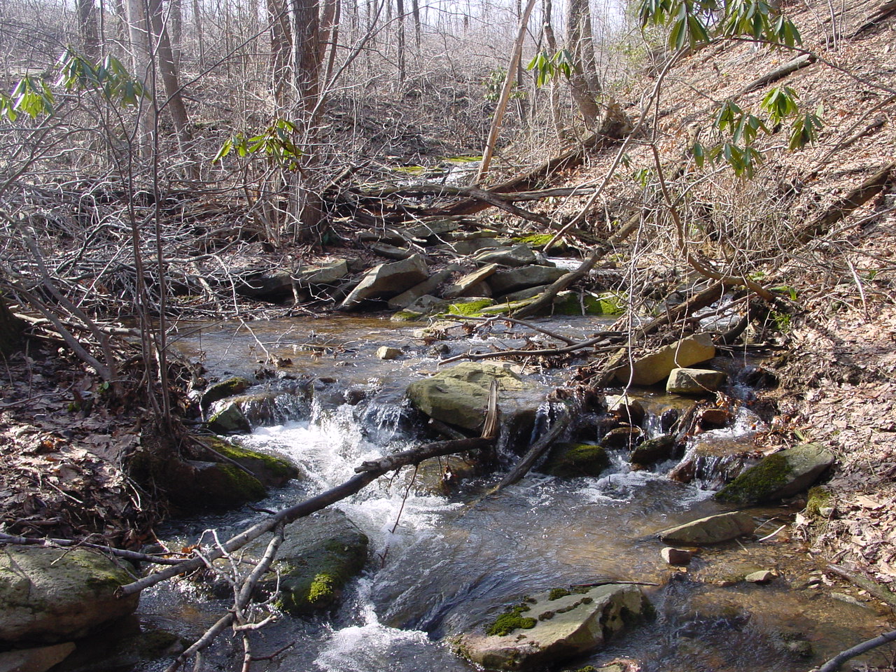 Field photo showing stream conditions at site GEOR-106-R-2003-1