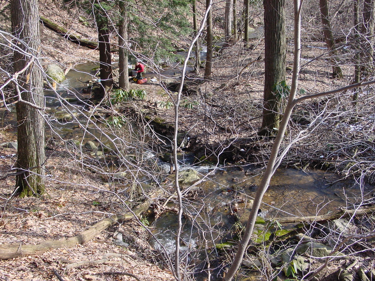 Field photo showing stream conditions at site GEOR-106-R-2003-2