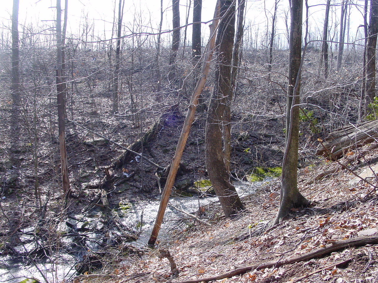 Field photo showing stream conditions at site GEOR-106-R-2003-3