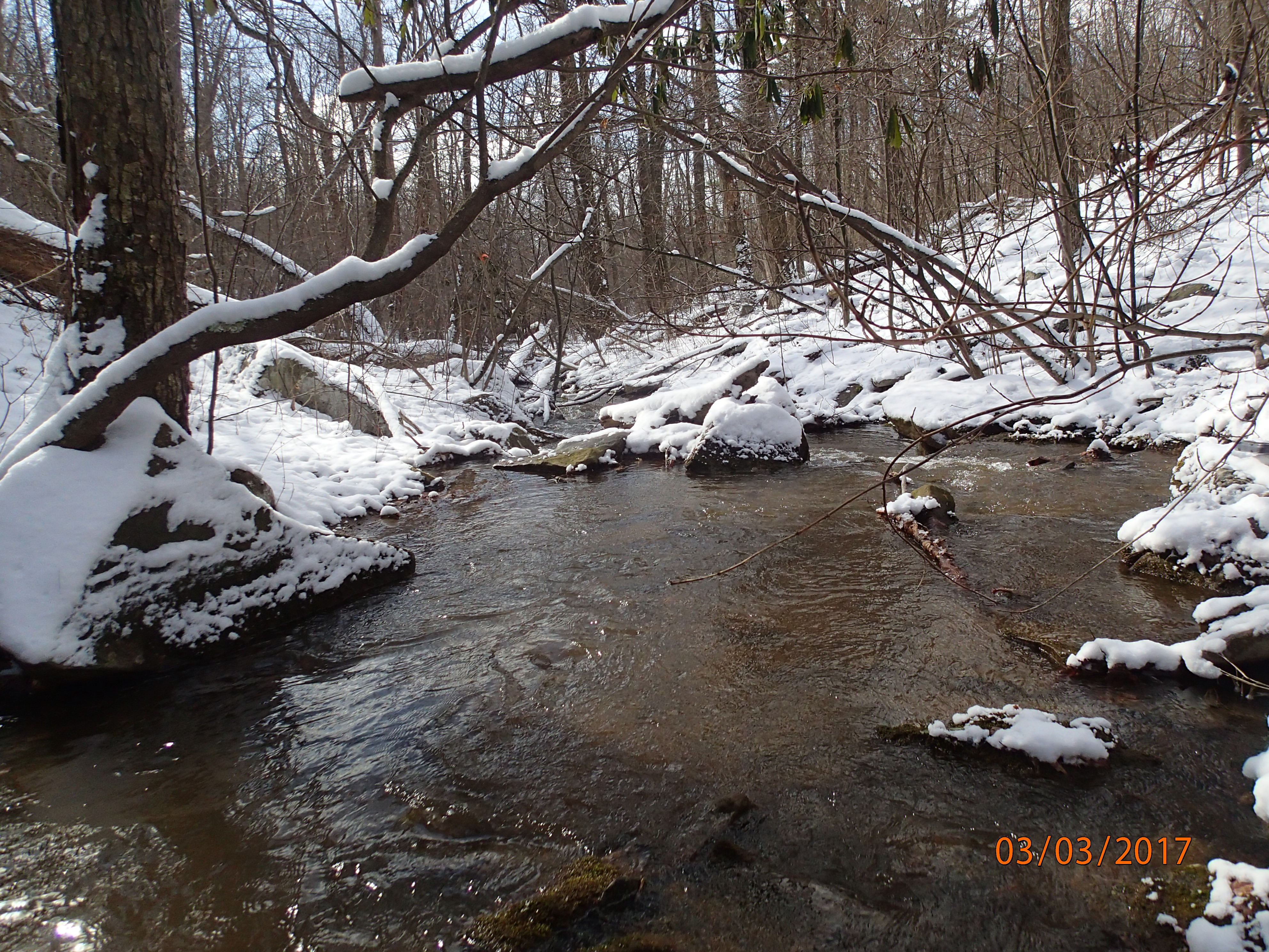 Field photo showing stream conditions at site GEOR-106-R-2017-MidpointDownstream