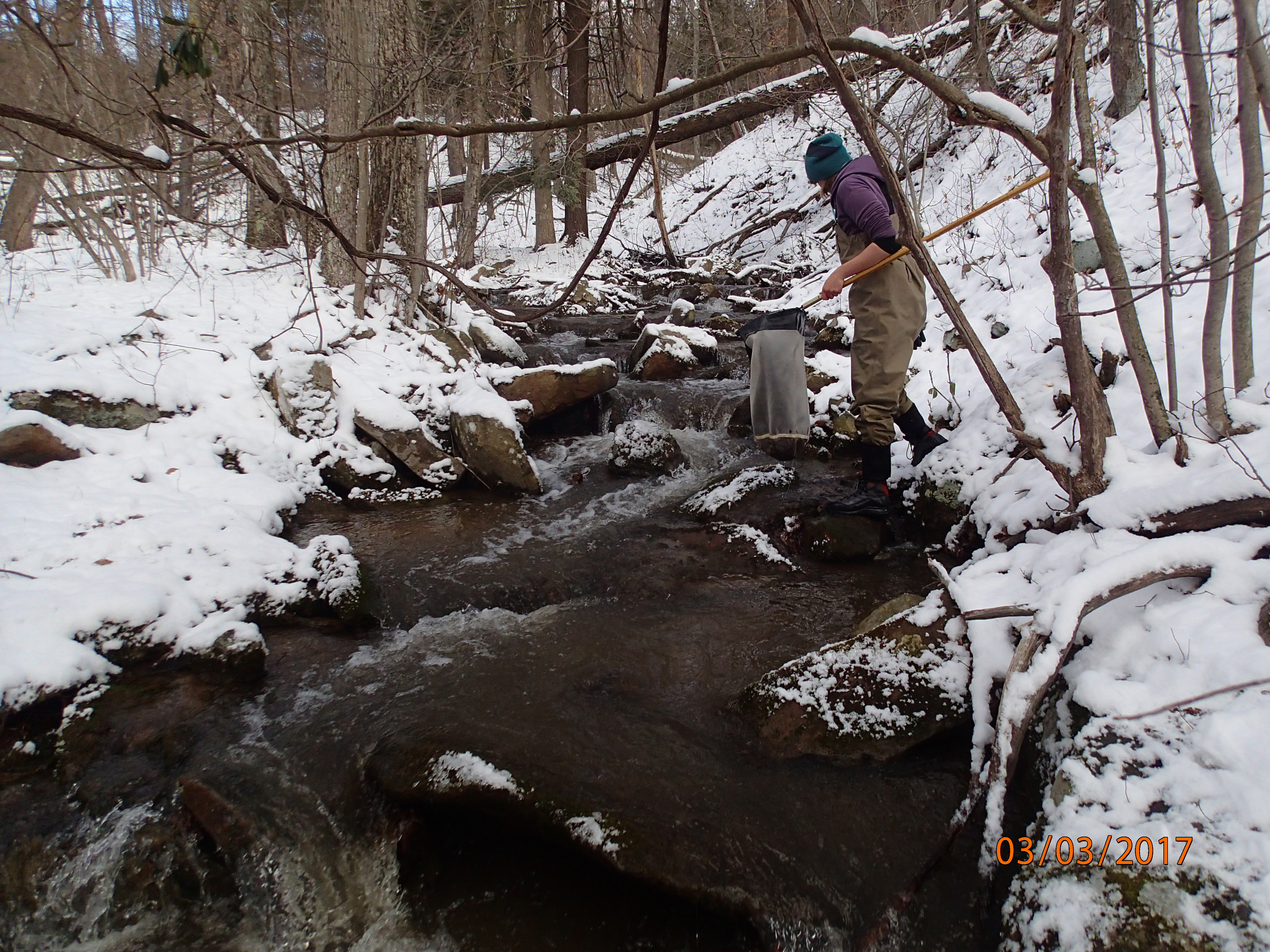 Field photo showing stream conditions at site GEOR-106-R-2017-MidpointUpstream