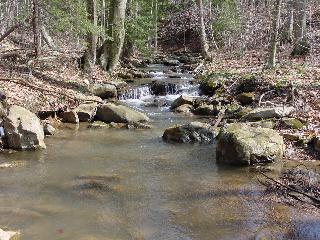 Field photo showing stream conditions at site GEOR-107-R-2003-1